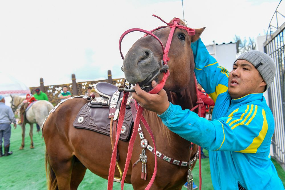 Аламанға ат қоссаң, бапты болсын
