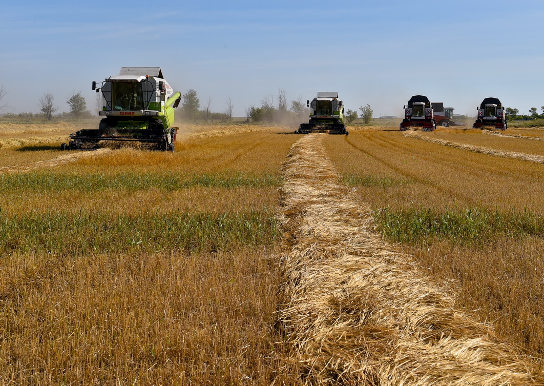 Гектарына – 62,5 центнер!