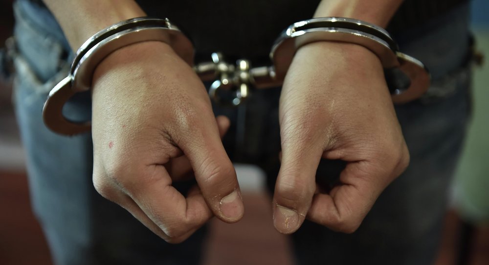 Сирия аумағында террористік әрекетке қатысқан Хайсинді Қазақстанға экстрадициялады