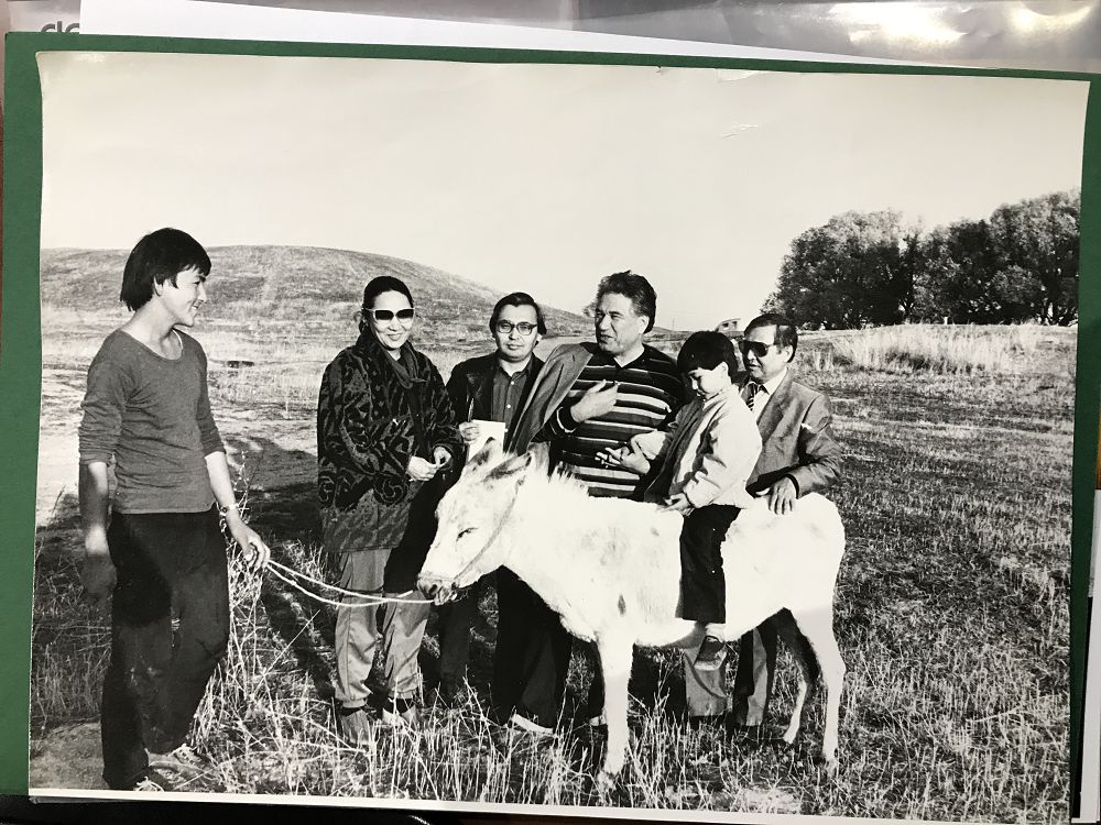 Шоңның шұғыласы