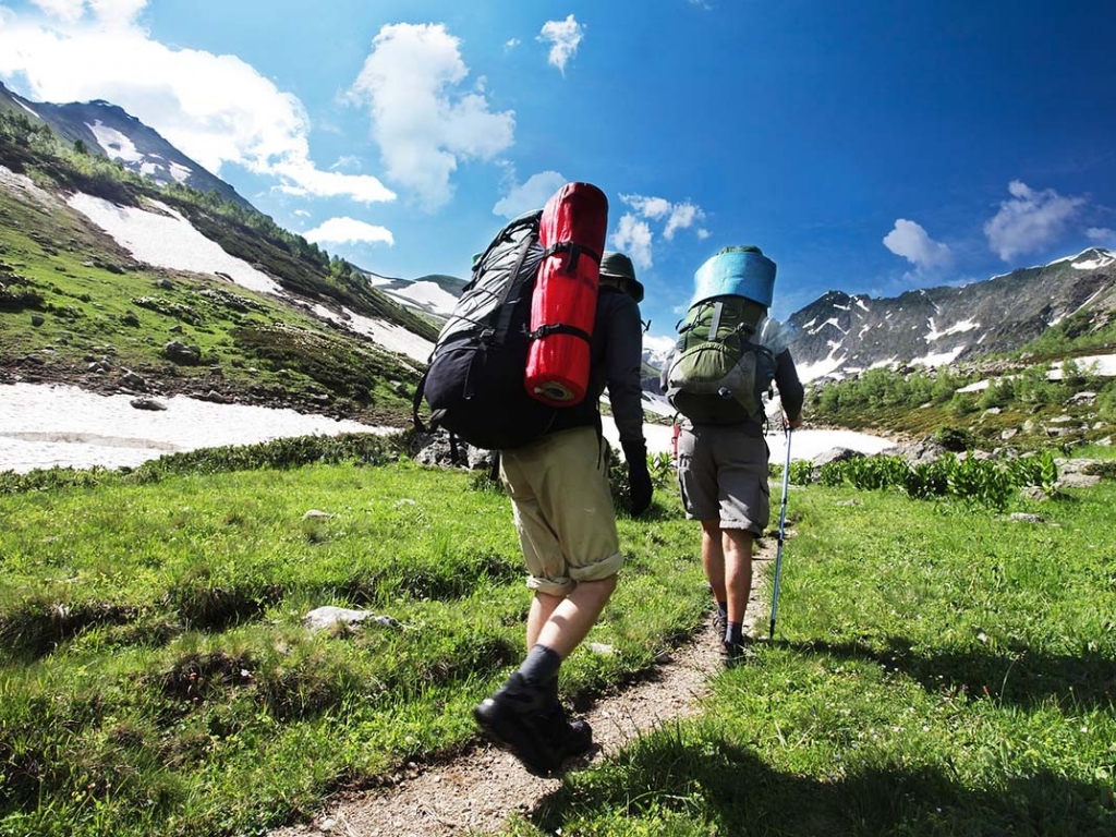 Ұсыныстар жинақталып, іс-шаралар жоспары бекітіледі