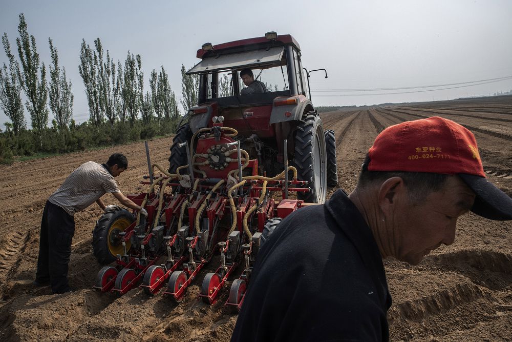 Қытайдың шағын фермаларының жойылуы әлемге пайдалы 