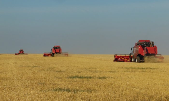 Павлодар облысында элеваторларға 103,5 мың тонна астық жеткізілген