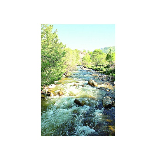 Құмдағы алтын қабыршақтар сыры