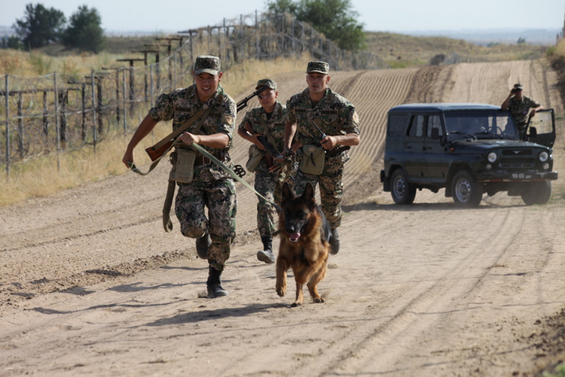 Шекарашылар 2 центнерден астам иесіз дәрі-дәрмек тауып алды