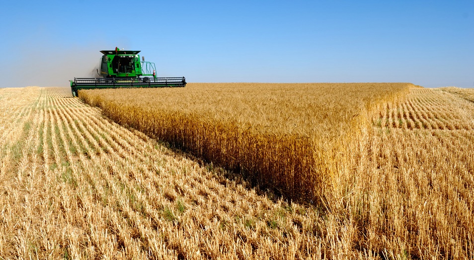 2019 жылы  22,3 млн гектарға ауыл шаруашылығы дақылдары егіледі