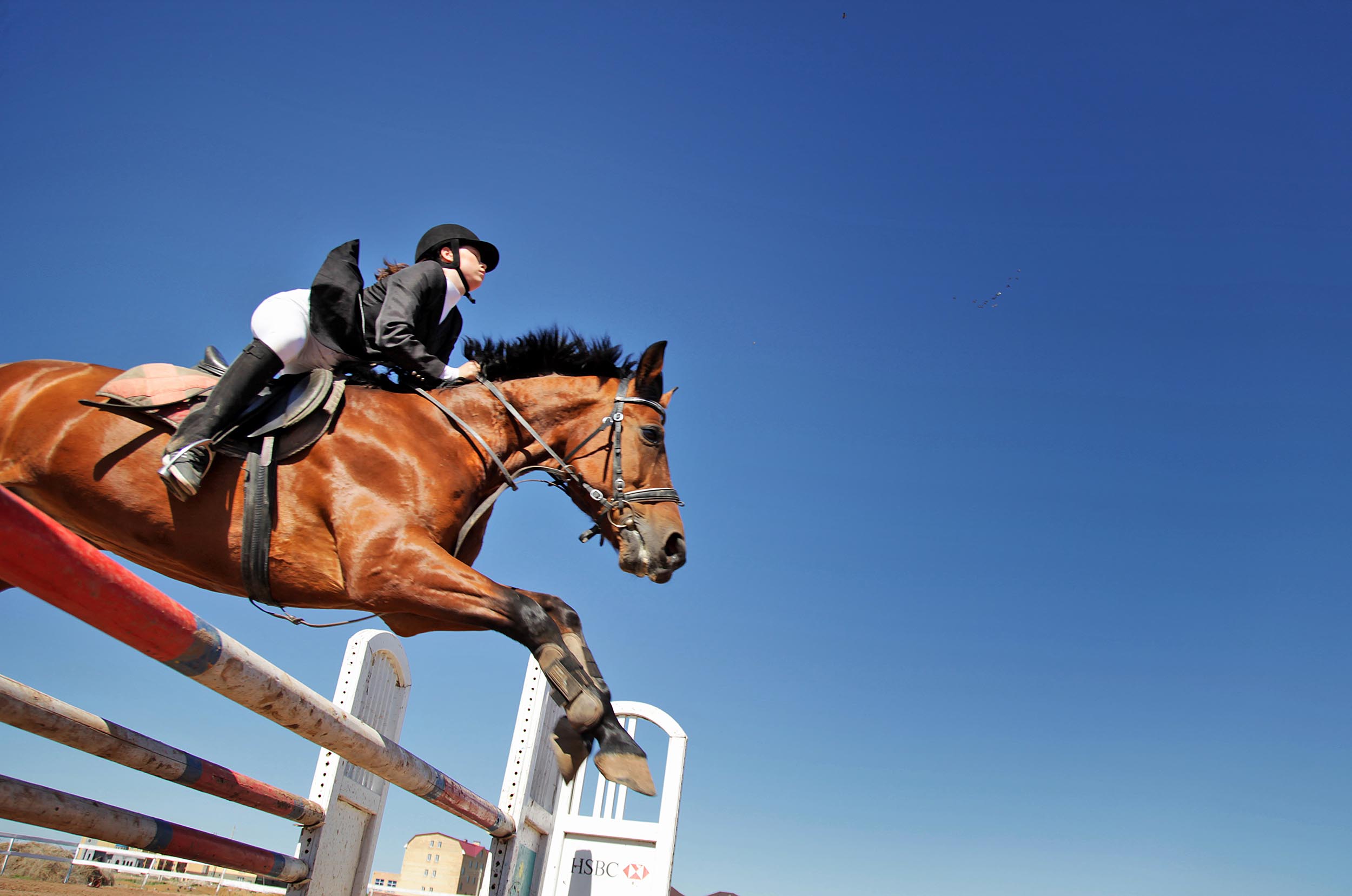 Бессайыстан ел чемпиондары анықталды