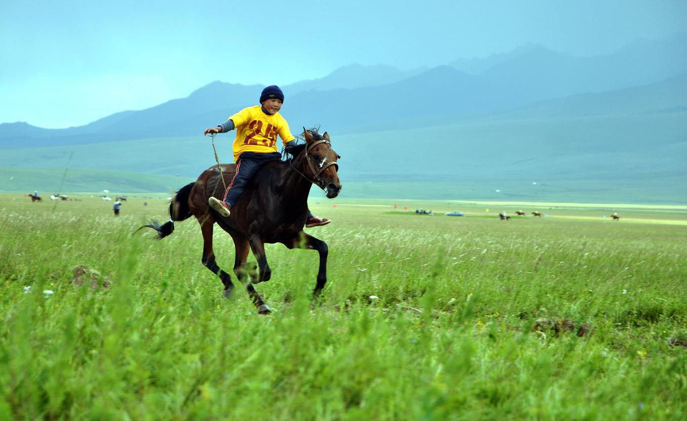 Жүйрікті қалай баптайды?