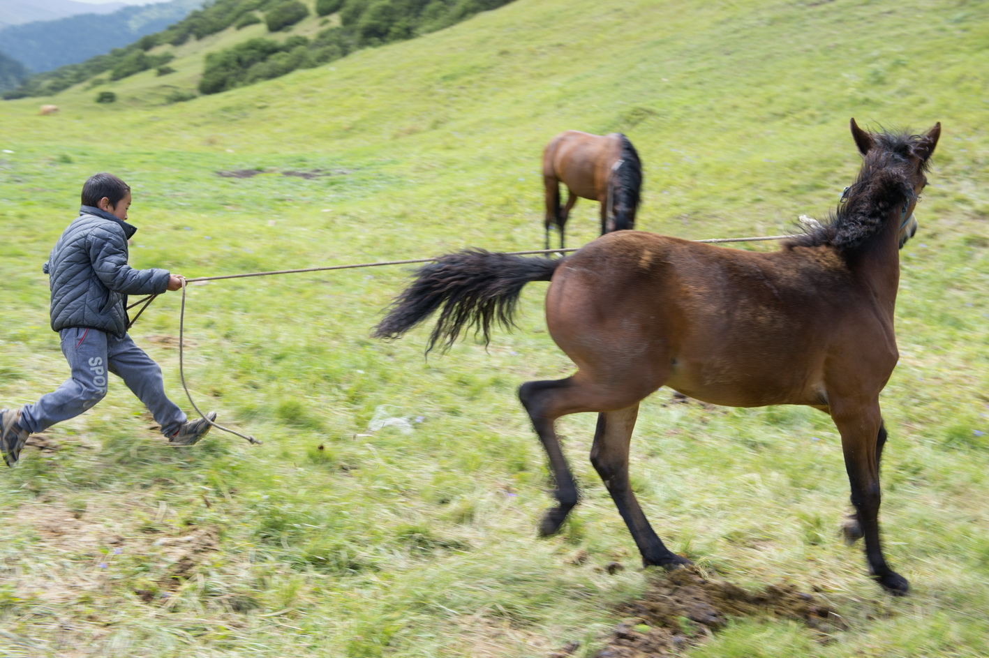 Қара сурет. АТҚА міну. АТ. АТ суреті. Тай минген бала.