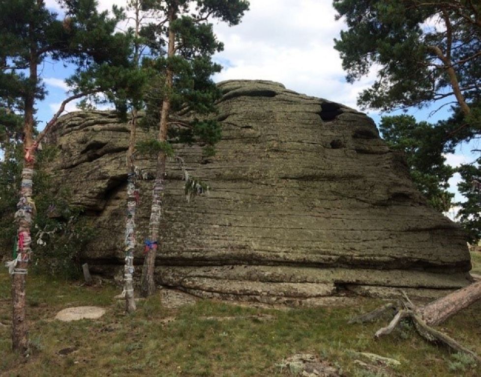 Березовая роща баянаул