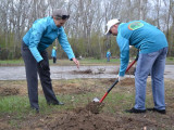 Семейде екі айға созылатын тазалық жұмыстары басталды