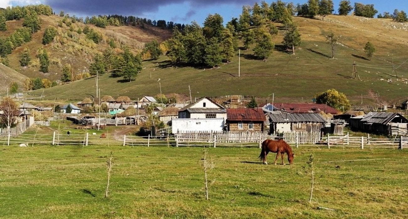 Жыныстық әртүрліліктің фотосуреттері