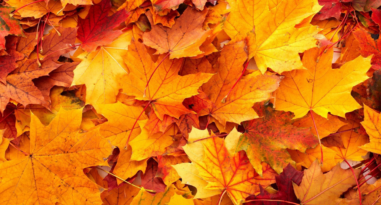 Әскери киімдегі эротикалық қыз Әскери киімдегі эротикалық қыз