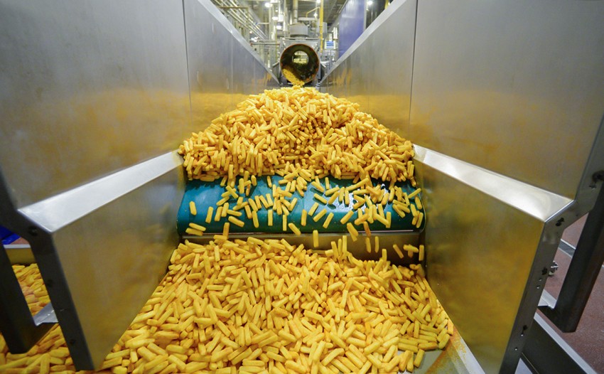 Нидерланды елімізде картоп фриін шығаратын зауыт салуға ниетті