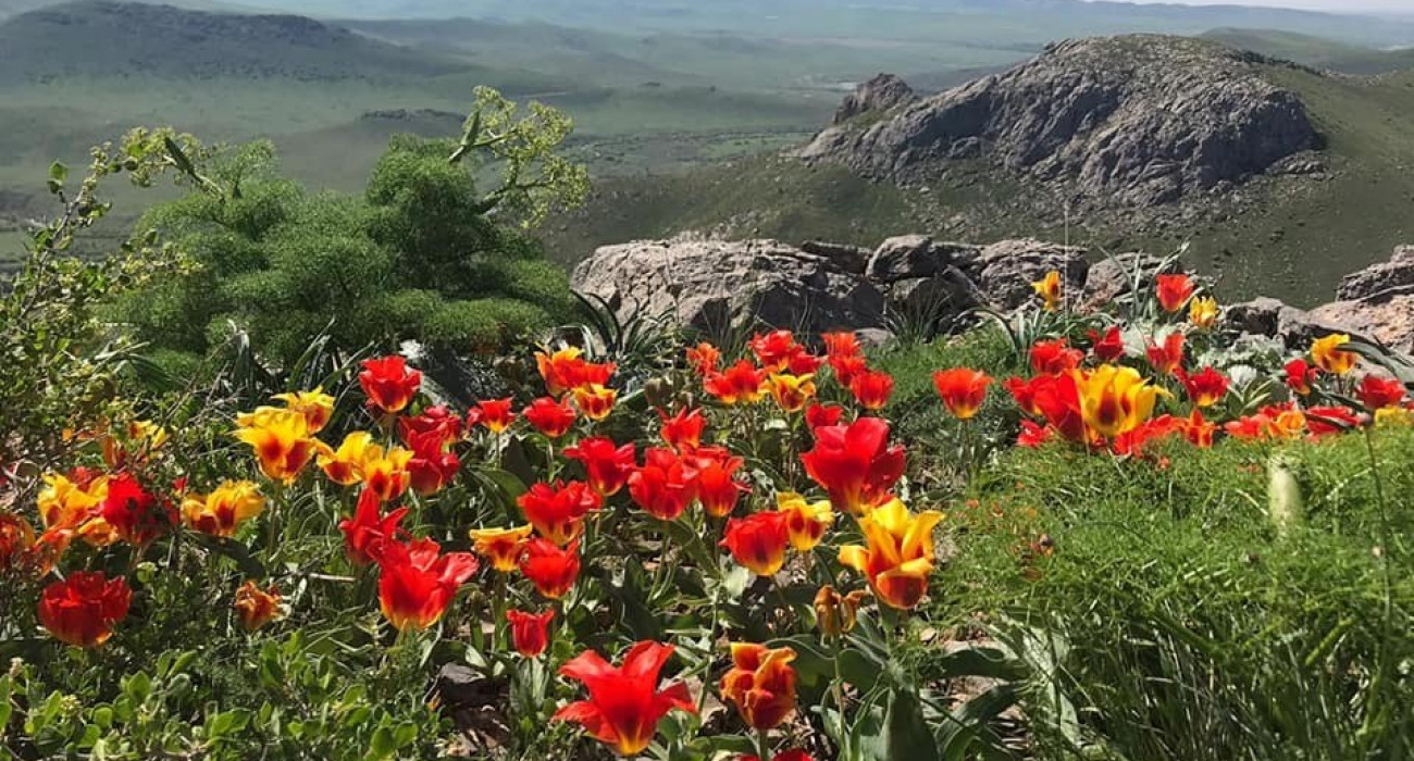 Олеся видеосы бар жеке порно