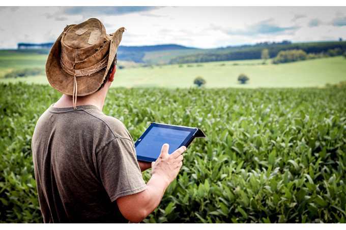 Цифрлы фермалар көбейеді