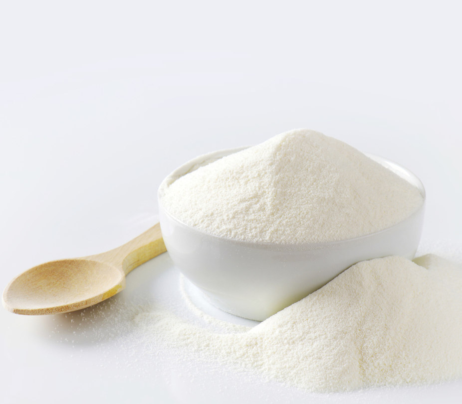 Түркістан: Кентауда құрғақ сүт өңдейтін өндіріс цехы ашылады