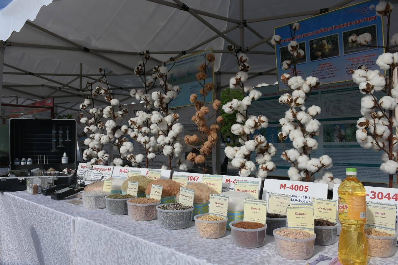 Түркістанда «Агроөнеркәсіп кешенінің озық технологиялары» атты көрме өтті