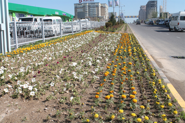 Үшайлық абаттандыру акциясы жарияланды