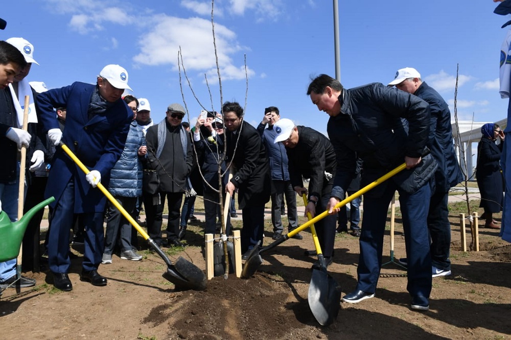 Елордада алма бағы отырғызылды