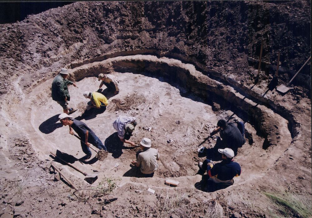 Археологтар Сегізсайға жиналады