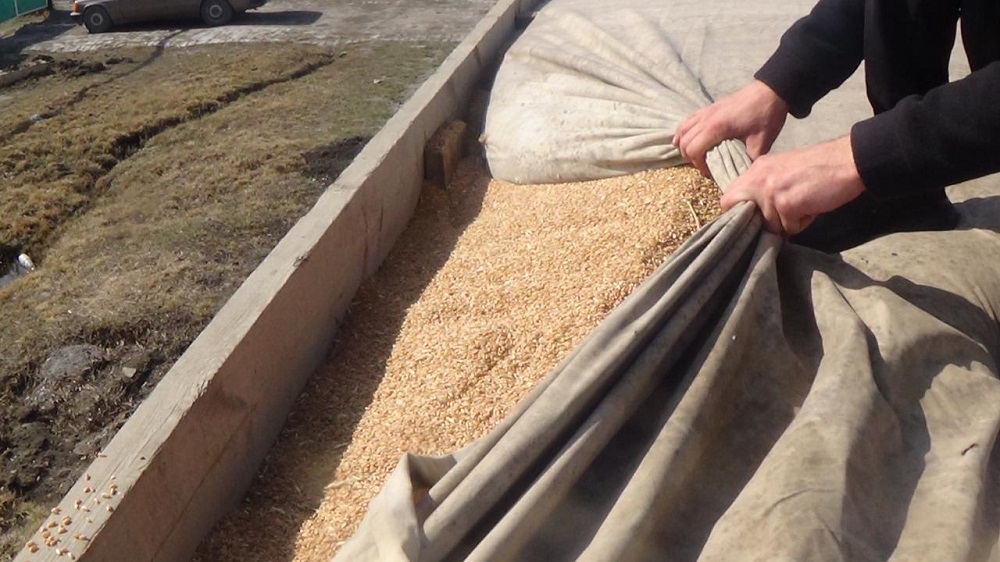 Қостанайда ірі астық ұрлығының жолы кесілді