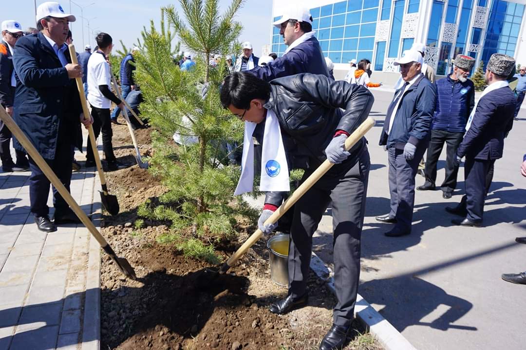 Қарағандыда «Достық үйінің» алдына ағаш көшеттері егілді