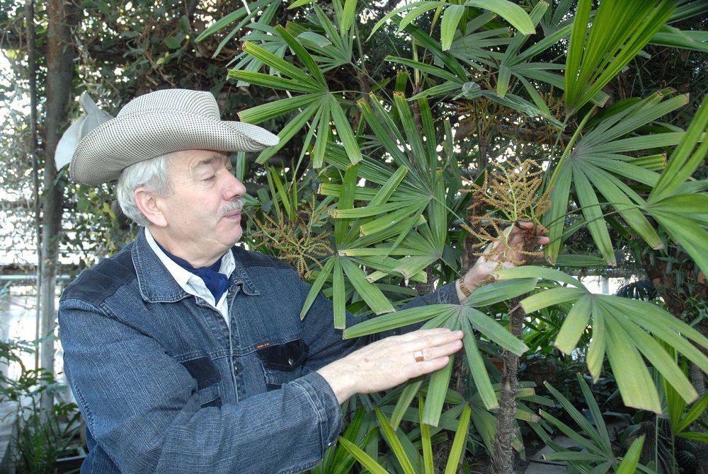 Теріскейдегі тропикалық саябақ