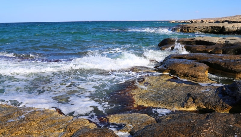 Аң-құсты қаншалықты көбейте аламыз?