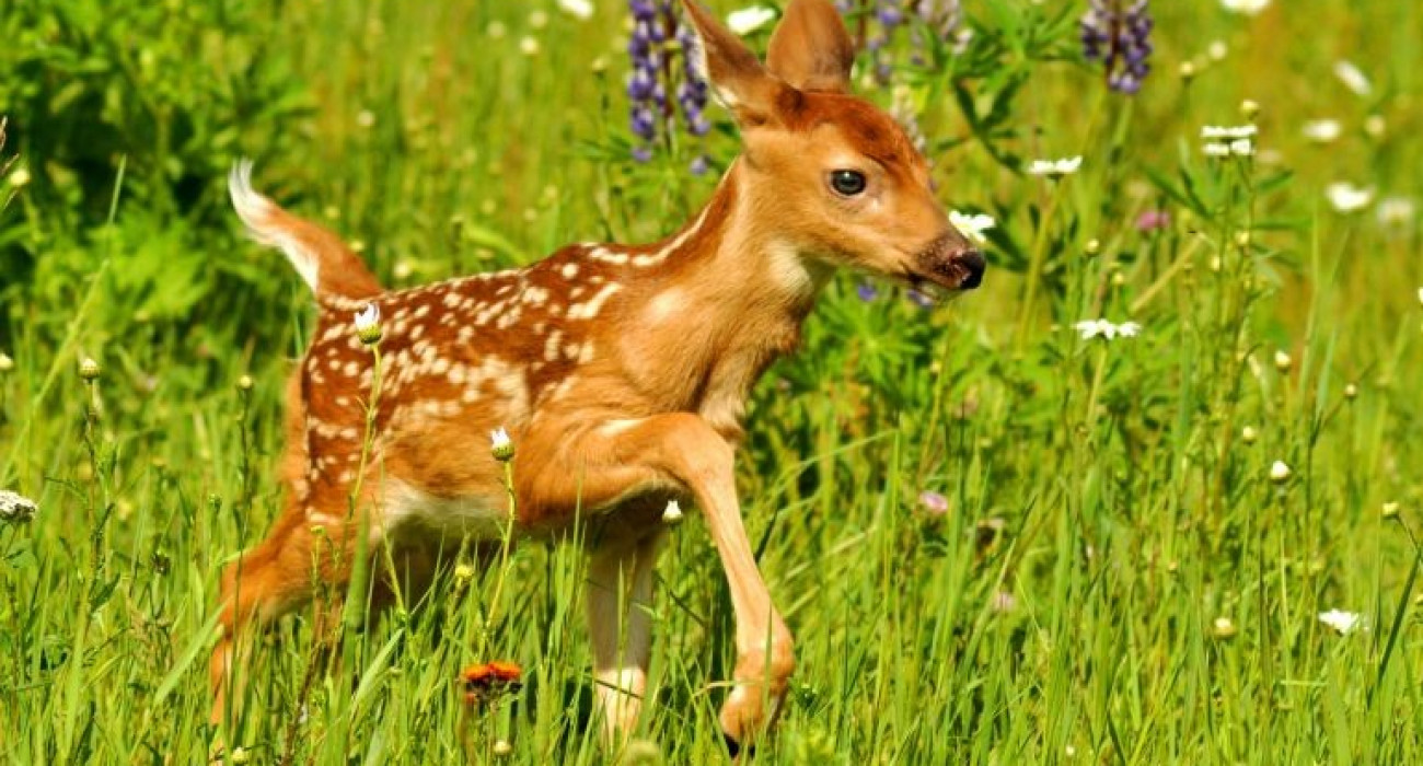 Кэмерон Диаз порно фотосуреттер