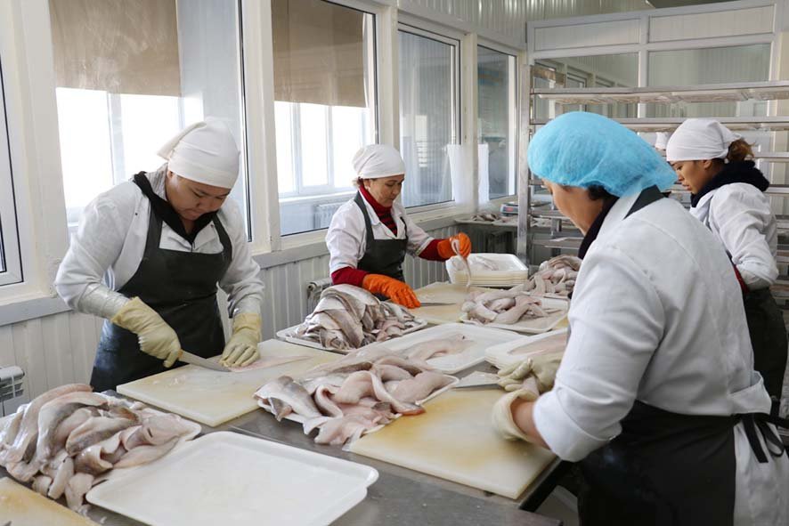 Арал қаласында бүгінге дейін төрт мың кәсіпкерлік субъектісі тіркелген