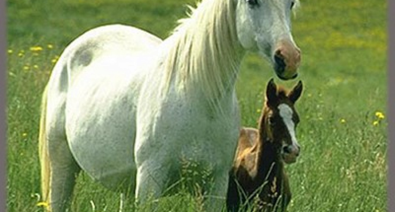 60 жастан асқандар үшін ыстық секс Жыныстық қатынас кезінде дефекация фотосуреті