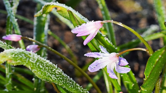 Елордада дауылды ескерту жарияланды