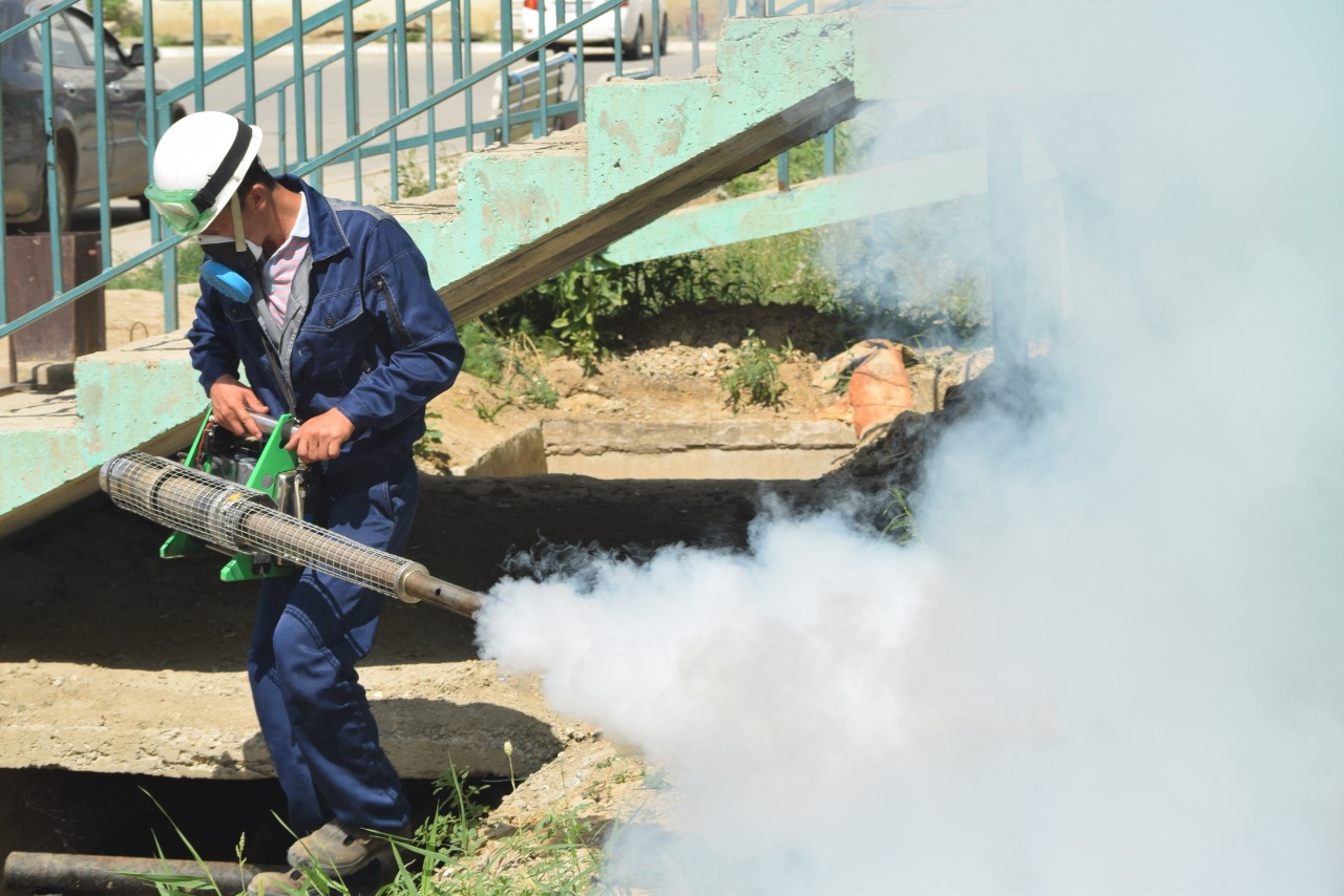 Атырауда масаға қарсы күрес басталды