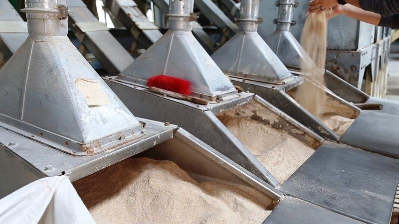 Солтүстік Қазақстанда құрамажем зауыты іске қосылды