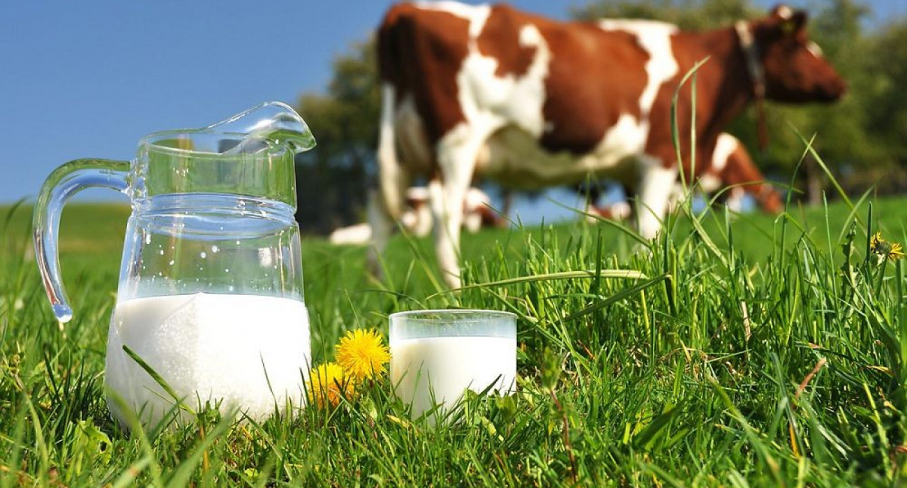 Ассасин порно қыз