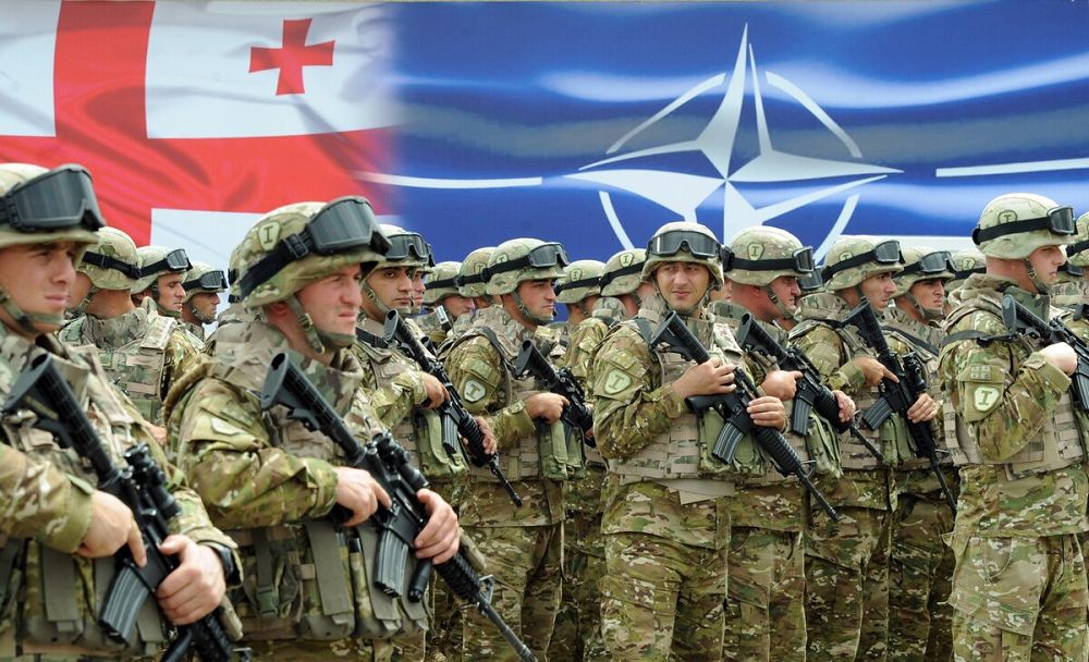 Грузияның НАТО-ға  мүше болу мүмкіндігі зор