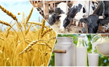 Араласпаса ағайын да жат