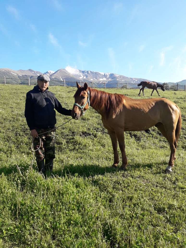 Екі айда 270 шақырымға шапқан жүйрік