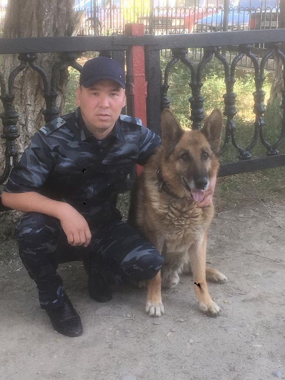 Адалдық – асыл қасиет  немесе әділ шешім сержанттың бағын қалай ашты?