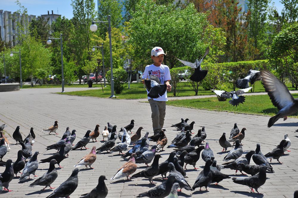 Ел мен жердің тұтастығын қорғадық