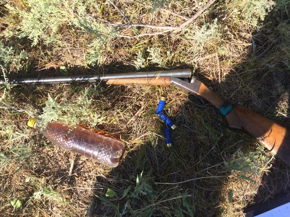 Батыс Қазақстан облысында киік аулау тыйылмай тұр