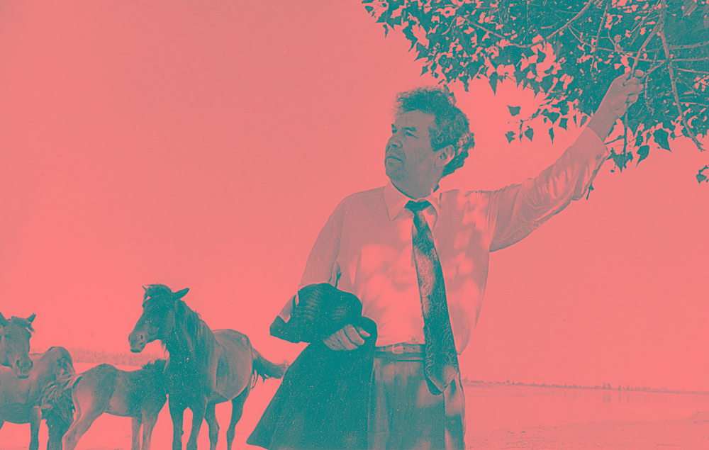 Ұлылар ұлтқа бөлінбейді