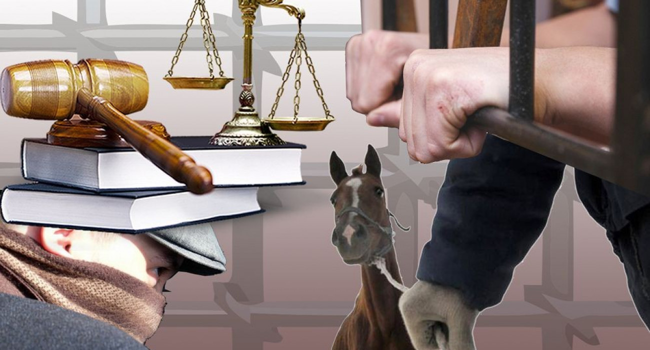 Порно спермы в пизду в HD