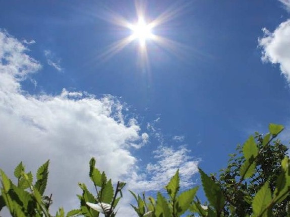 Бүгін де еліміздің басым бөлігінде аптап ыстық болып, жел көтеріледі