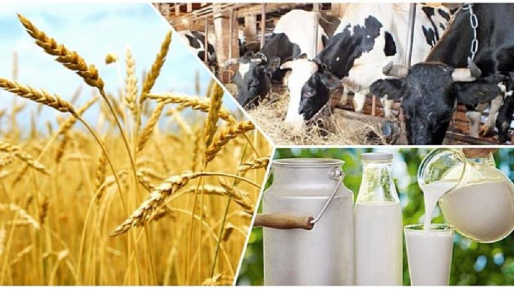 Кәсіпкерлік белсенділік неге төмен?