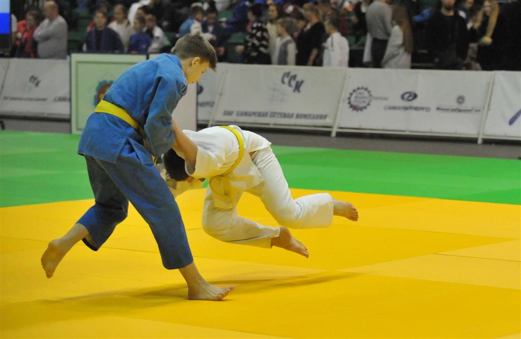 Жеті балуан ТОП-20 қатарында