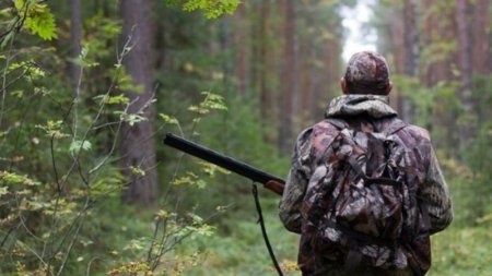 Ақмола облысында орман инспекторларына шабуыл жасаған күдіктілер ұсталды