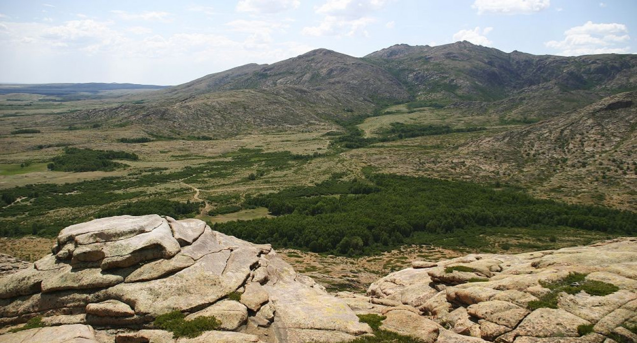 Секс триосы кері қоңырау шалу