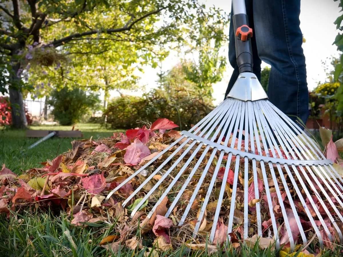 Тіршілік пен тазалық әліппесі